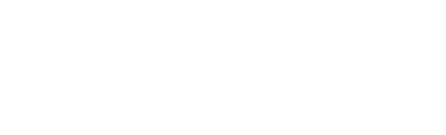 Caspian Trading Venture